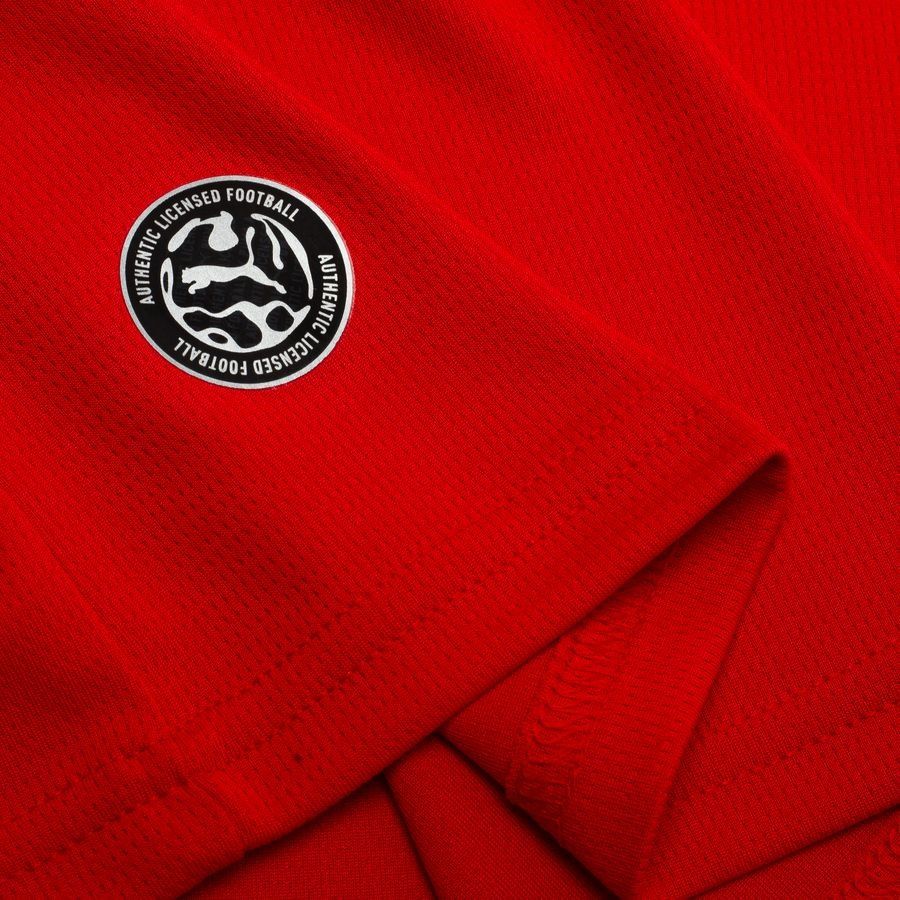 2026 Austria Home Soccer Jersey World Cup 2026